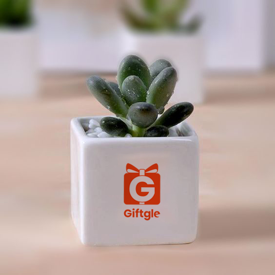 Quà tặng cho nhân viên không chỉ là món đồ tri ân, mà là cách doanh nghiệp nói rằng: “Tôi thấy bạn. Tôi hiểu bạn đã cố gắng bao nhiêu.” Và đó chính là điều khiến một món quà trở nên đáng nhớ.