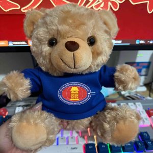 GẤU BÔNG TEDDY MẶC ÁO IN LOGO THEO YÊU CẦU